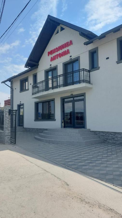 Pensiunea Antonia Sighetu Marmaţiei Екстериор снимка