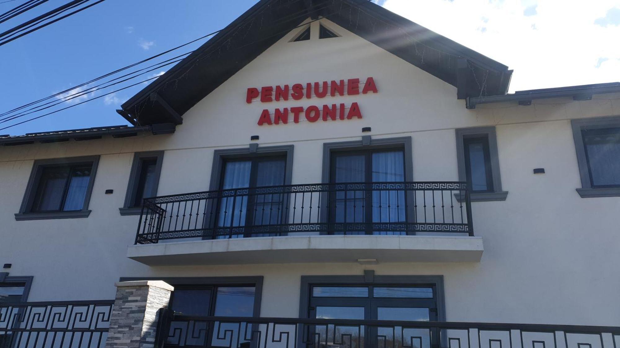 Pensiunea Antonia Sighetu Marmaţiei Екстериор снимка